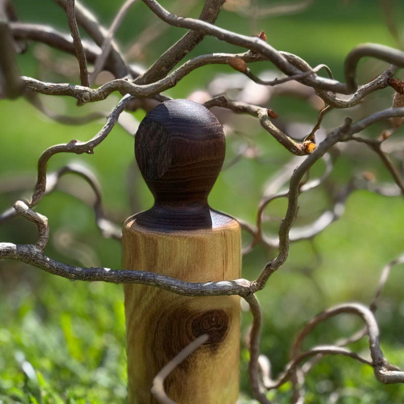 ithaka-coaching-charlotte-keijzer-zinvol-warrige-takken-800x800